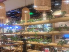 -椰夫人·养生椰子鸡(金沙洲永旺店)