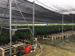 -万达广场(泰安泰山店)