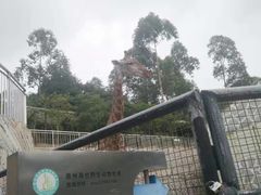 -泉州海丝野生动物世界