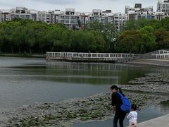 -新江湾城公园