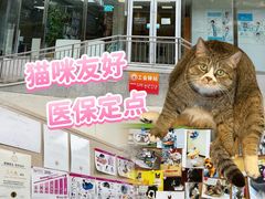 -美联众合爱康动物医院•复杂内科•肿瘤科•牙科•腔镜诊疗中心