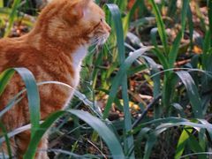 -华南国家植物园-售票处