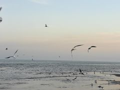 -海风酒吧 喝精酿 听民谣(阿那亚礼堂店)