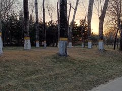 -元大都城垣遗址公园