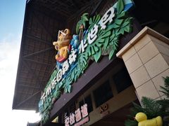 -苏州乐园森林水世界