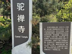 -鲁山国家森林公园