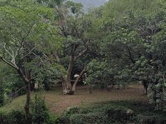 -宝岩生态观光园