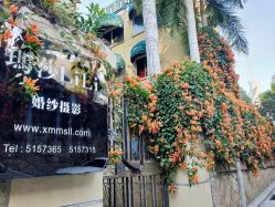 -玛莎莉莉全球旅拍