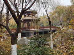 -西安市长乐公园