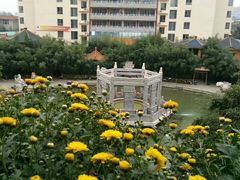 -龙脉温泉室内游泳馆