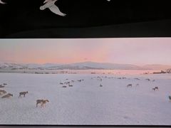 -中国湿地博物馆