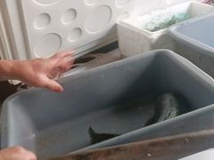 -金三可市井水煮鱼(金碧园店)