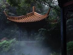 -广州兰圃