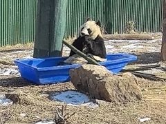 -沈阳森林动物园