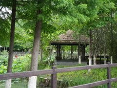 -东台西溪天仙缘景区