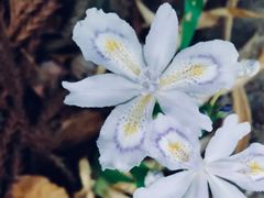 -白塘生态植物园