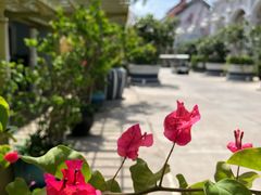 -富国岛翡翠湾 JW 万豪度假酒店
