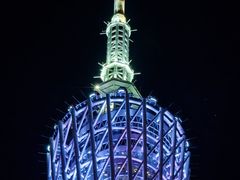 -珠江夜游省总码头