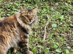 -北京西山国家森林公园