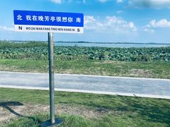 -七的湖·晚芳亭·阳澄湖农家菜·大闸蟹(莲花岛店)