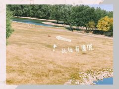 -北京麋鹿生态实验中心