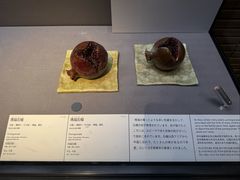 -东京国立博物馆