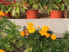 -祥源·阜阳生态乐园