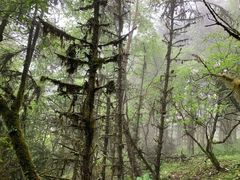 -硗碛藏寨·神木垒景区