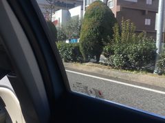 -热田神宫