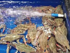 -万宝海鲜舫(劳动公园店)