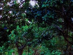 -石梅湾艾美度假酒店