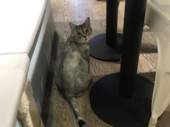 -小时光咖啡馆(开森度假森林店)
