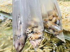 -盒马鲜生(大行宫店)