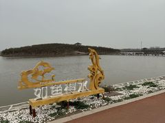 -南大港湿地风景区