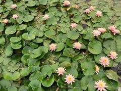 -公益图书馆(江南大学店)