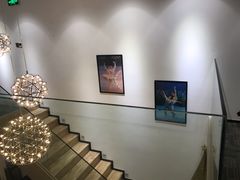 -中央芭蕾舞团·中芭艺蕾(酒仙桥明星校区)