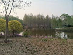 -东郊湿地公园