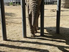 -新疆天山野生动物园