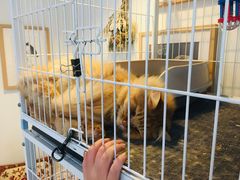 -小时光咖啡馆(北锣鼓巷店)