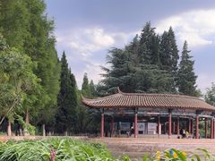 -庾园