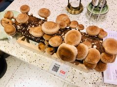 鲜活菌菇棒-椰子营·椰子鸡火锅(万象里店)