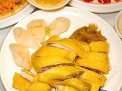 -喜聚薈·花膠雞海鮮火鍋(越秀店)