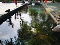 -百脉泉景区