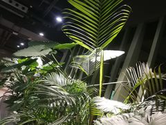 -北国商城