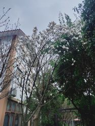 -莲生母婴月子中心(清水河公园店)