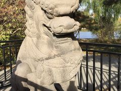 -北陵公园