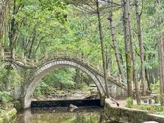 -洛阳白云山景区