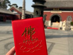 -天津大悲禅院