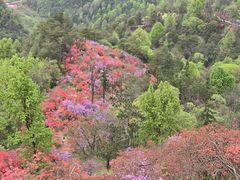 -岳西天峡风景区
