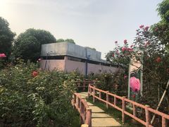 -百万葵园